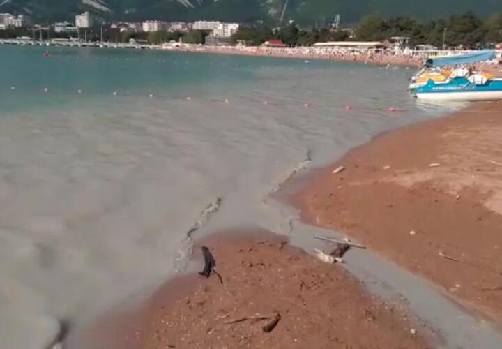 Член Совета при губернаторе показал жуткие потоки на пляже в Геленджике ВИДЕО