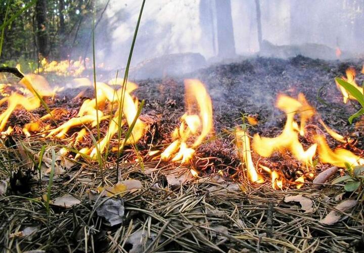 На севере Краснодарского края объявлена высокая пожароопасность