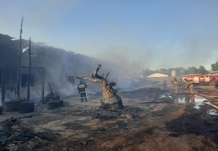 Пожар потушен, но дым напугал жителей восточной части Краснодара