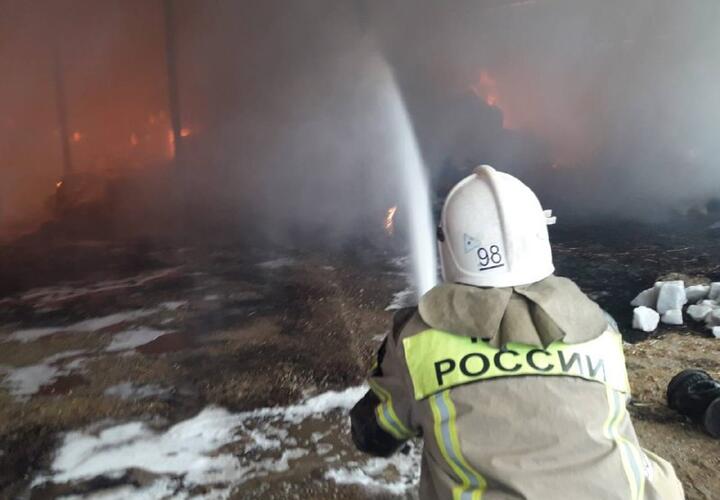 В Краснодарском крае с 5 утра тушат пожар на площади 4000 м.кв