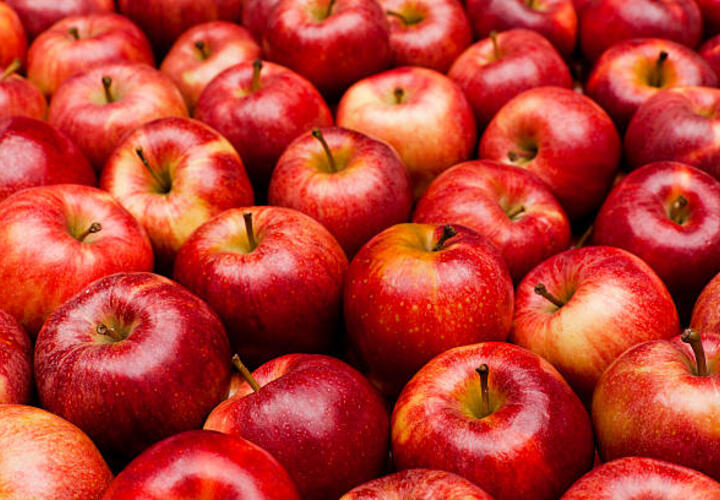 Аграрии Кубани рассказали, почему в регионе вырастили меньше яблок