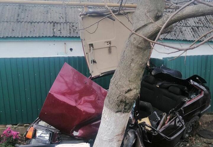 На Кубани легковушка превратилась в кусок железа после удара о дерево