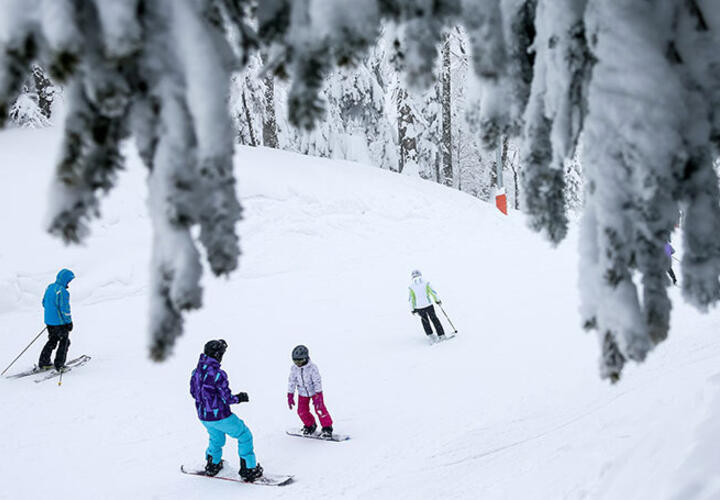 На горнолыжных курортах Сочи на Рождество обещают долгожданный снегопад