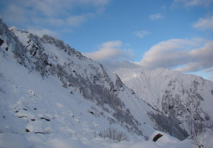 Туристы едва не замерзли насмерть в заснеженных горах Сочи