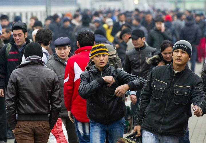 Кубань прирастает трудовыми мигрантами