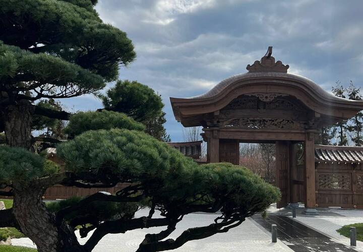 Стало известно, кого могут не пустить в Японский сад Краснодара 