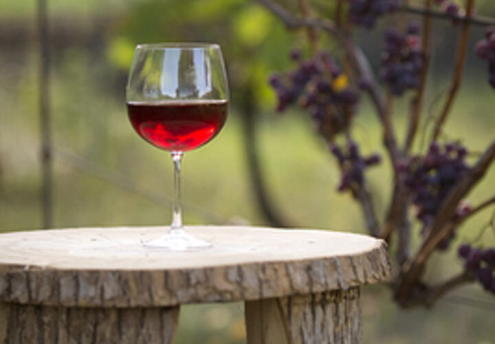 Из магазинов Кубани скоро исчезнут недорогие европейские вина