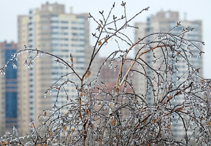 Гололедица: синоптики рассказали, какой будет погода на Кубани 23 ноября