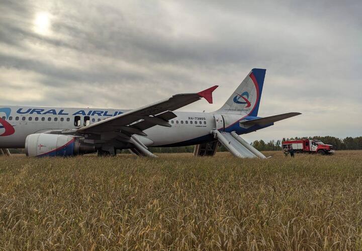 В деле о посадке в поле самолета «Сочи-Омск» открылись новые обстоятельства