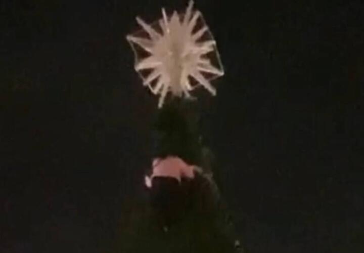 Женщина залезла на верхушку городской ёлки в Геленджике
