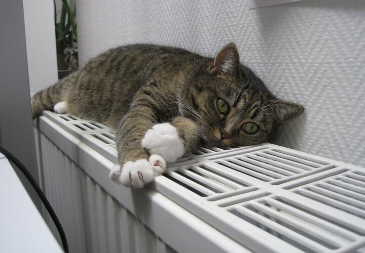 В двух районах Краснодара жители снова жалуются на плохое отопление в квартирах