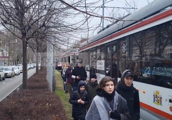 Стало известно, движение каких трамваев вновь остановлено в Краснодаре