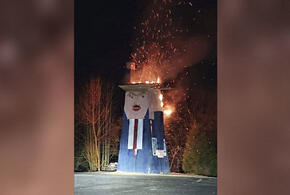 В Словении сожжен «Памятник Дональду Трампу»