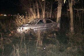 На Кубани водитель иномарки врезался в дерево