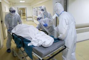На Кубани за сутки скончались шесть пациентов с коронавирусом