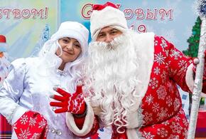 Новогодние «волшебники» Краснодара поделились планами на зимние праздники