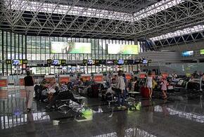 В аэропорту Сочи будут обеззараживать багаж 