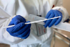 В Краснодарском крае еще 174 случая заражения коронавирусом