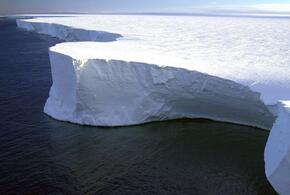 Антарктическому острову грозит экологическая катастрофа
