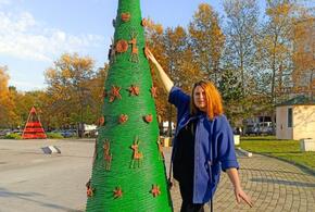 Новогодняя елка из Новороссийска может попасть в книгу рекордов