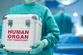 В Адыгее заблокировали cайты по продаже человеческих органов