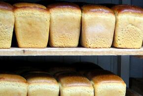 В Краснодарском крае дорожает хлеб