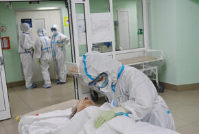 В Краснодарском крае подтверждено 185 новых случаев коронавируса