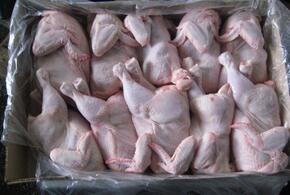 В Краснодарском крае уничтожено почти три тонны курицы