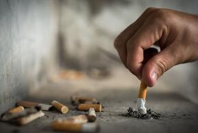В России вводят новые ограничения для любителей сигарет