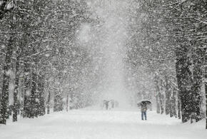Краснодарский край продолжает засыпать снегом 