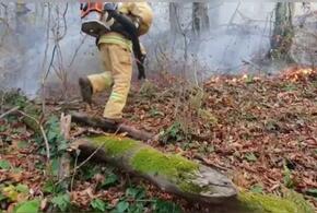 Кубанские спасатели потушили один из лесных пожаров