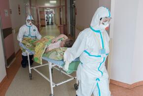 На Кубани новые случаи коронавируса обнаружены в 34 муниципалитетах