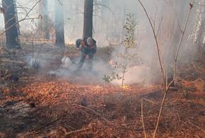 Появилось видео тушения природных пожаров на Кубани