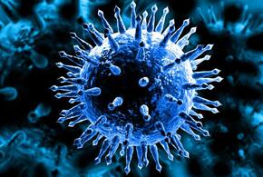 Специалисты рассказали, чем опасен новый штамм коронавируса