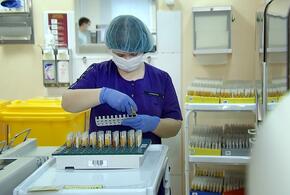 В Краснодарском крае не зафиксированы случаи «британского» штамма коронавируса