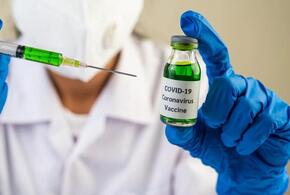 В России мошенники продают через интернет вакцину от COVID-19