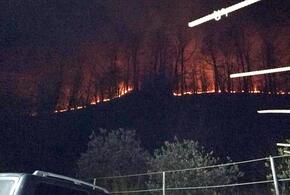 В Сочи почти пять часов тушили лесной пожар 