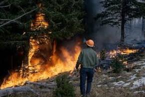 В Сочи продолжают гореть леса