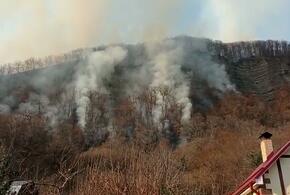 В Сочи удалось потушить все лесные пожары