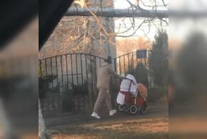 В Тимашевске пьяная женщина чуть не опрокинула коляску с ребенком