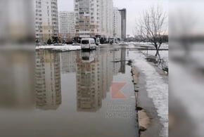 Краснодарские улицы вновь затопило фекалиями (ВИДЕО)