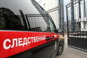 Мать убила двоих детей в Москве