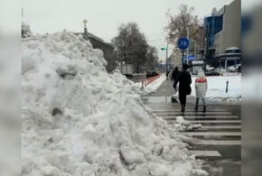Снегопад снова парализовал Краснодар  