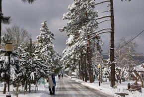 В Горячем Ключе школьники переведены на дистанционное обучение из-за снегопада
