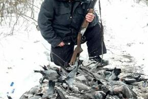 В Краснодарском крае браконьер расстрелял несколько сотен голубей