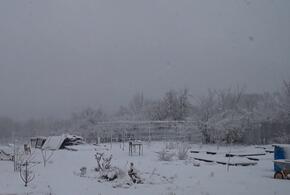 В одном из районов Краснодарского края ввели режим ЧС из-за снегопадов