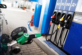 Рост цен на бензин может достигнуть 14 процентов