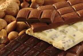 Стали известны необычные свойства шоколада