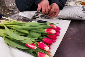 В Краснодарском крае в преддверии 8 марта работают почти 60 цветочных ярмарок