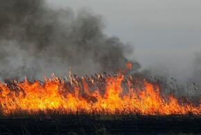 В Тимашевском районе Кубани сегодня один за одним начинались пожары